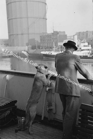 B & I SHIP TO LIVERPOOL  MR FITZHERBERT AND DOG